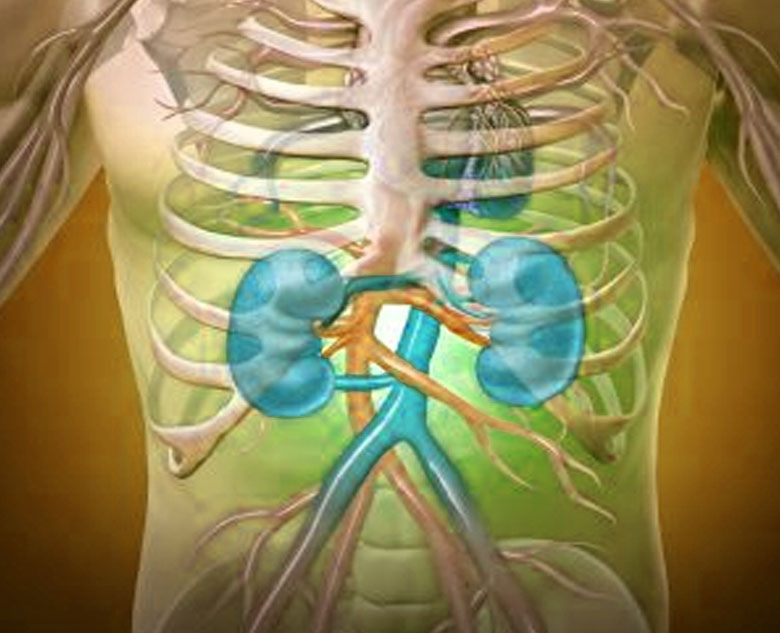 kidney_Acupuncture